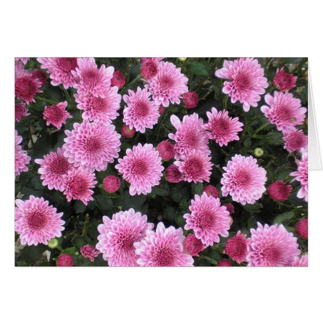 Serie del ramo de la naturaleza (primavera) (Anverso (Horizontal))