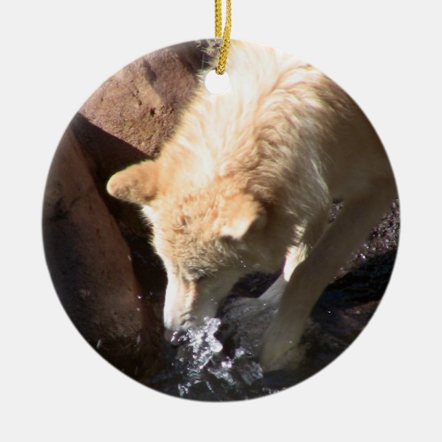 Serie en peligro ~ de la especie del ornamento del (Frente)