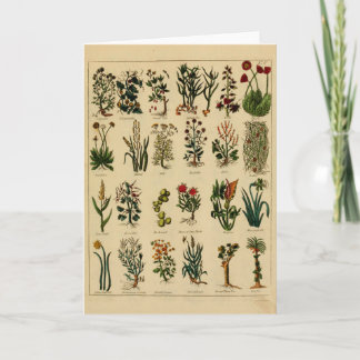 Serie herbaria de la tarjeta de felicitación del