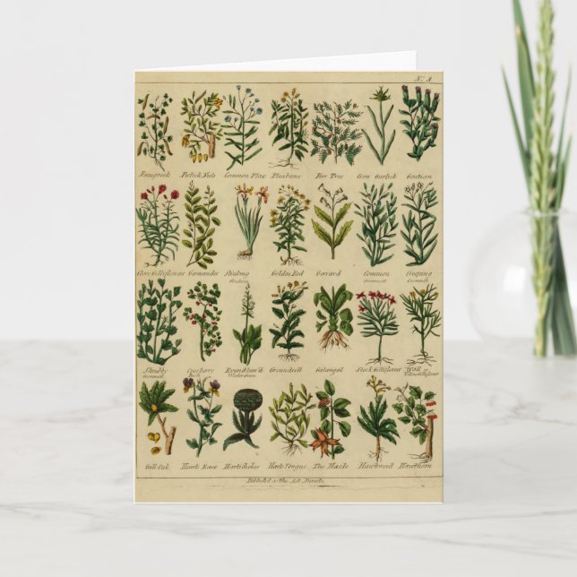 Serie herbaria de la tarjeta de felicitación del (Anverso)