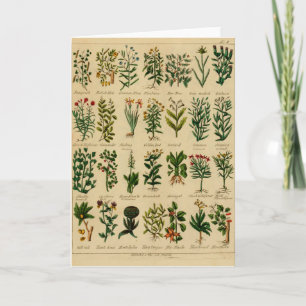 Serie herbaria de la tarjeta de felicitación del
