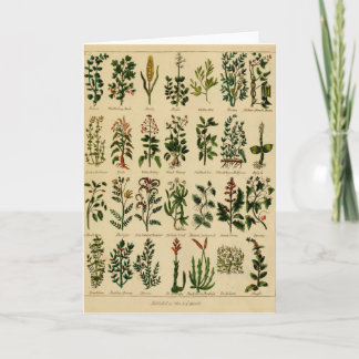 Serie herbaria de la tarjeta de felicitación del