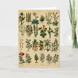 Serie herbaria de la tarjeta de felicitación del