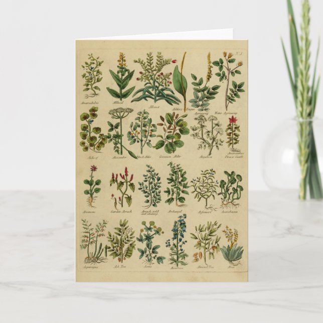 Serie herbaria de la tarjeta de felicitación del (Anverso)