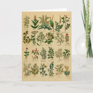 Serie herbaria de la tarjeta de felicitación del