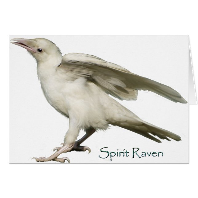Serie Spirit Raven II (Anverso (Horizontal))