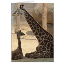 Serie Zoológico, Baby Giraffe y Mamá