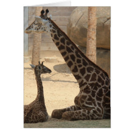Serie Zoológico, Baby Giraffe y Mamá