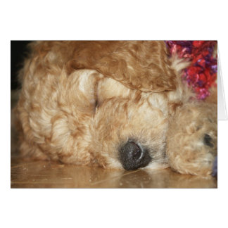 Series-02 recién nacido