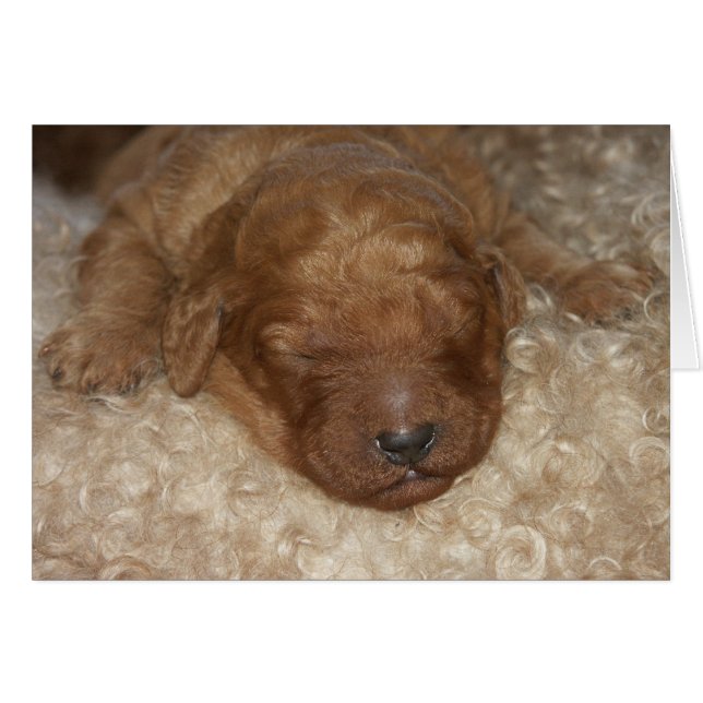 Series-10 recién nacido (Anverso (Horizontal))