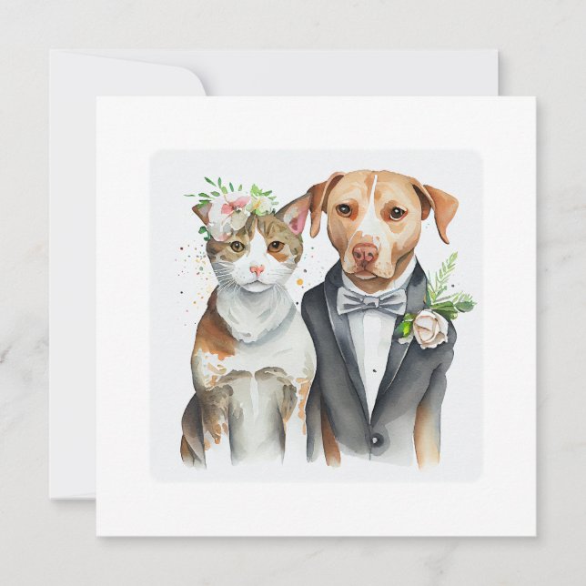 serio gracioso: maleza de gato y perro, acuarela (Anverso)