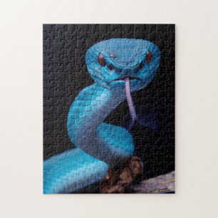Serpiente azul viper 252 pieza Rompecabezas