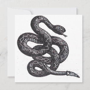 Serpiente Crotalus Cascavella (Víbora de Fosa Vene