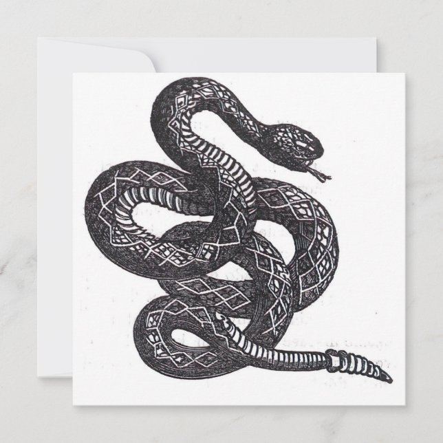 Serpiente Crotalus Cascavella (Víbora de Fosa Vene (Anverso)