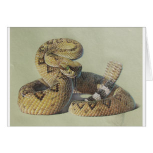 Serpiente de cascabel