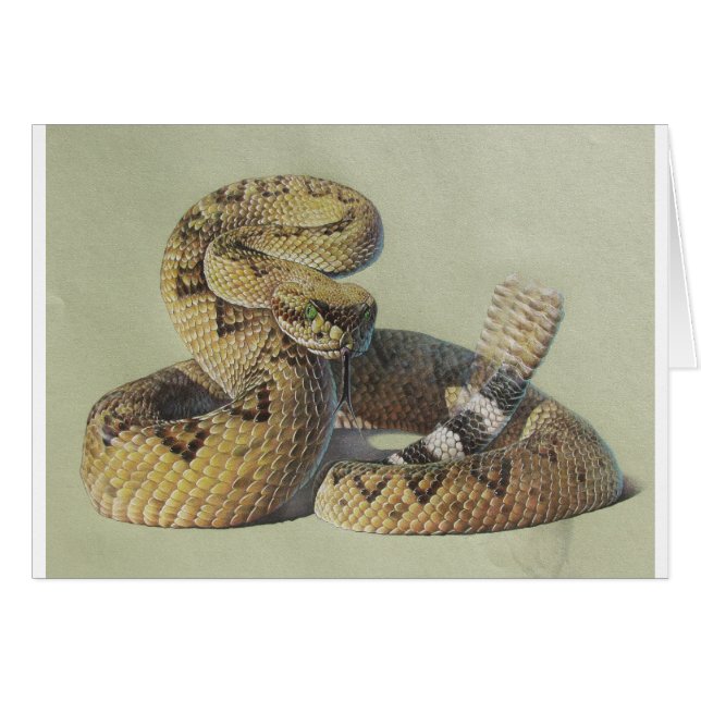 Serpiente de cascabel (Anverso (Horizontal))