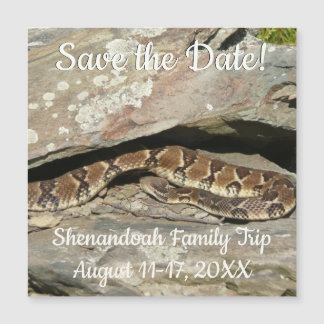 Serpiente de cascabel en el Parque Nacional Shenan