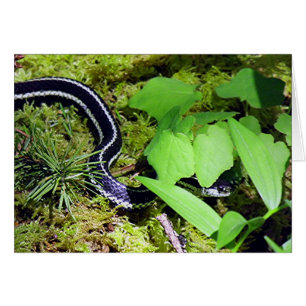 Serpiente de liga