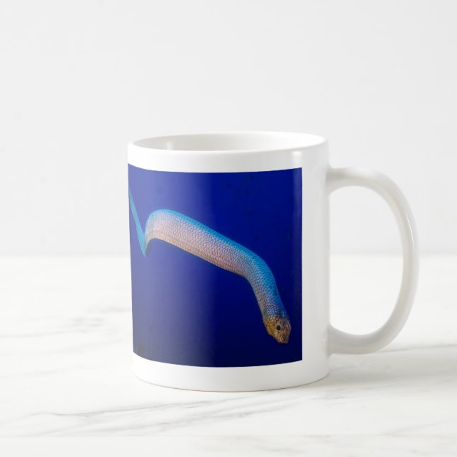 Serpiente de mar verde oliva en la taza de café (Derecha)