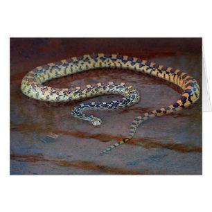 Serpiente de toro
