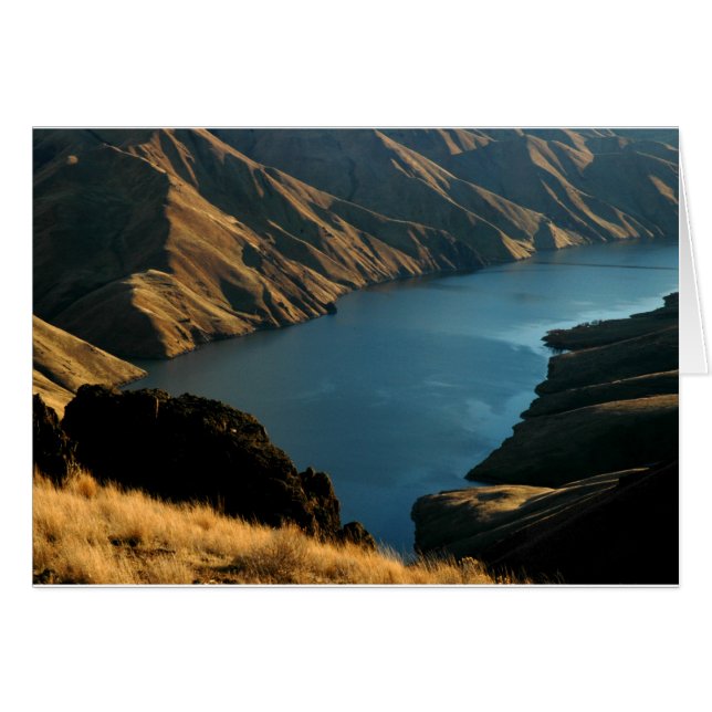 SERPIENTE SILENCIADA: Río de diciembre (Anverso (Horizontal))