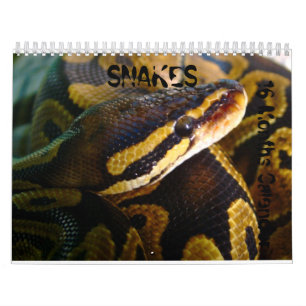 Serpientes 16 meses de calendario