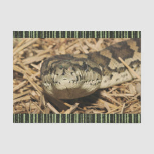 Serpientes de papel de tejidos