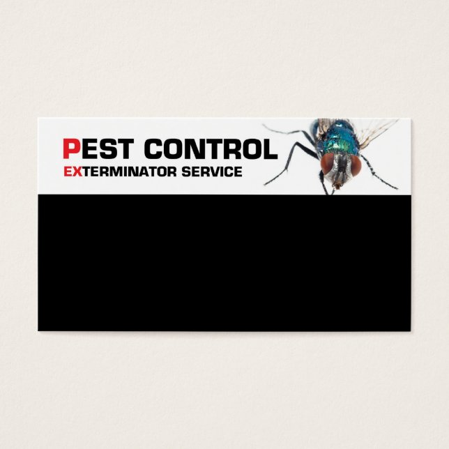 Servicio de control de plagas (Frente)
