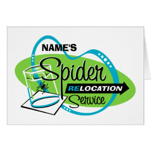 Servicio PERSONALIZADO de la relocalización de la