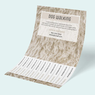 Servicios Simples de Aseo de Mascotas Flyers Minim