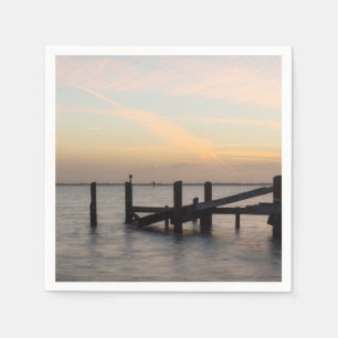 Servilleta De Papel 1.ᵉʳ Sunset 2017 Cocoa Beach