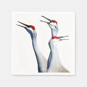 Servilleta De Papel 3 Papeles de papel fotográfico Sandhill Cranes