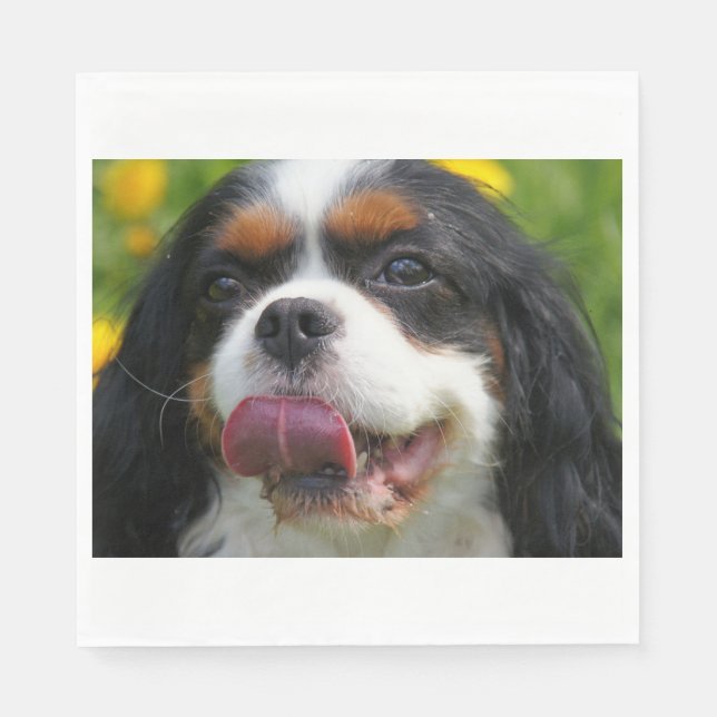 Servilleta De Papel 4.º pesadilla (Anverso)