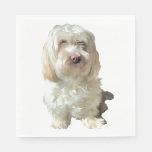 Servilleta De Papel 50 servilletas de papel - White Havanese (Anverso)