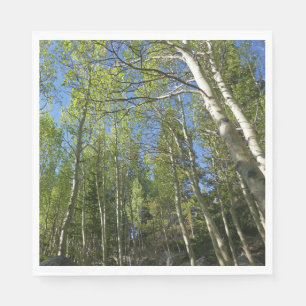 Servilleta De Papel Abedules de verano en Rocky Mountain