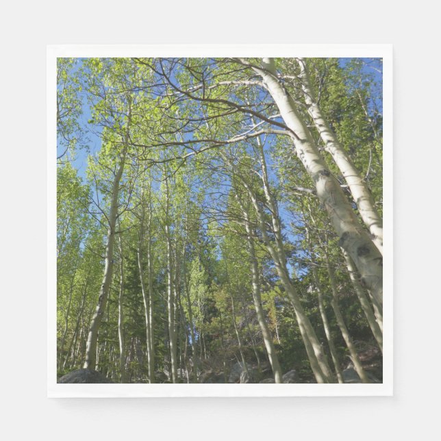 Servilleta De Papel Abedules de verano en Rocky Mountain (Anverso)