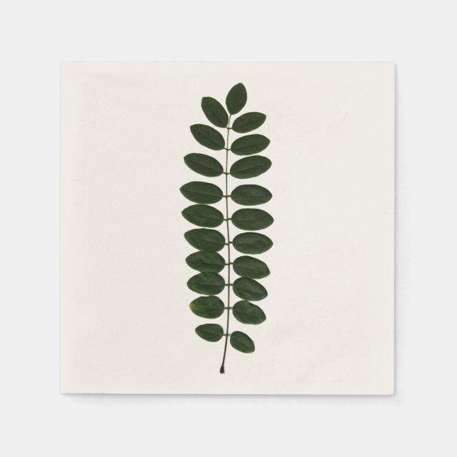 Servilleta De Papel Acacia Leaf Napkin (Anverso)