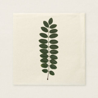 Servilleta De Papel Acacia Leaf Napkin