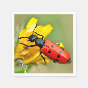 Servilleta De Papel Aceite de Mylabris en flor