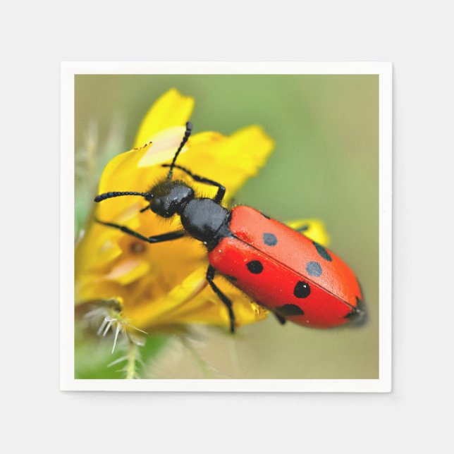 Servilleta De Papel Aceite de Mylabris en flor (Anverso)