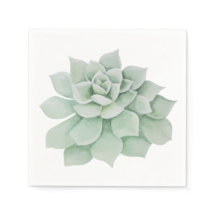 Acuarela Floral Mint Cactus Suculento Verde