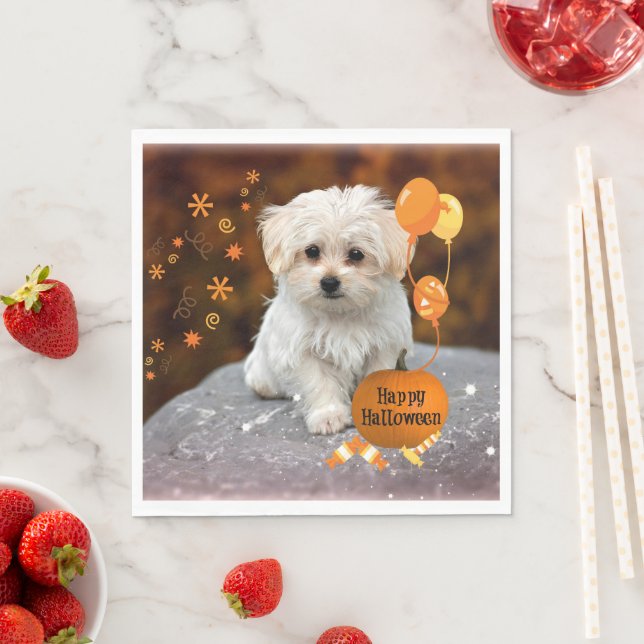 Servilleta De Papel Adorable cachorro maltés celebra Halloween (In situ)