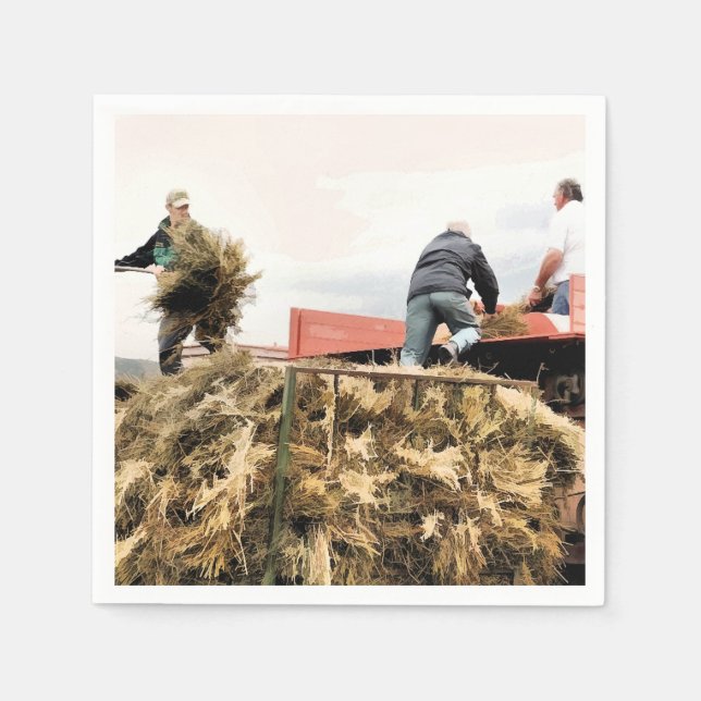 SERVILLETA DE PAPEL AGRICULTURA (Anverso)