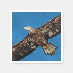 Servilleta De Papel Águila calva subadulta en vuelo