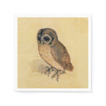 Albrecht Durer The Little Owl