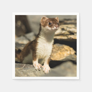 Servilleta De Papel Alert Weasel