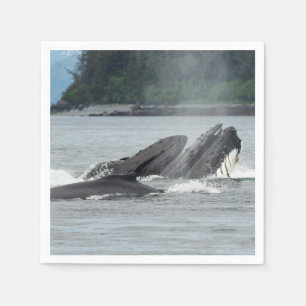 Servilleta De Papel Alimentando ballenas jorobadas