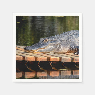 Servilleta De Papel Alligador en el parque estatal Homosassa Springs