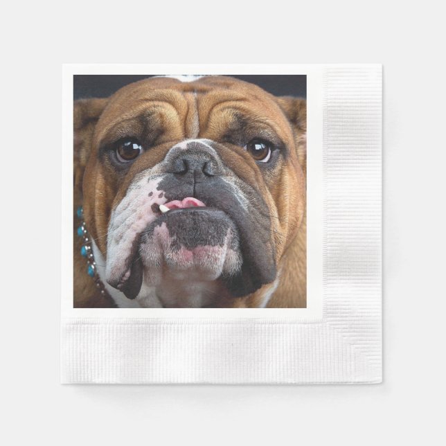 Servilleta De Papel Almohada de inglés bulldog (Anverso)