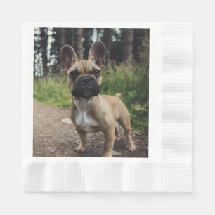 Servilleta De Papel Almohada de lanzamiento de Bulldog Francés